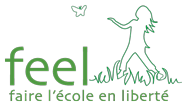 Logo Centre FEEL